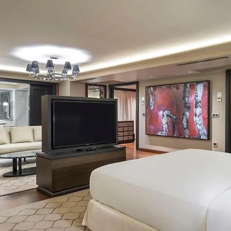 Отель Hiltonsa